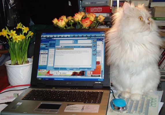 frauenarbeitsplatz....