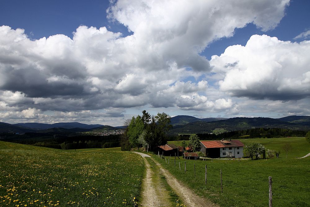 Frauenauer Alm