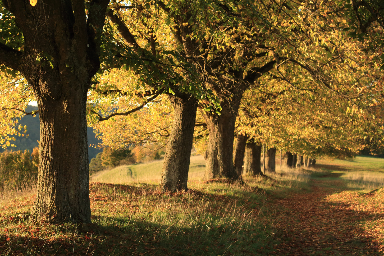 Frauenberg Eichstätt im Herbst