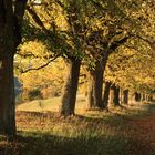 Frauenberg Eichstätt im Herbst