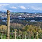 Frauenfeld, Stadt im Grünen