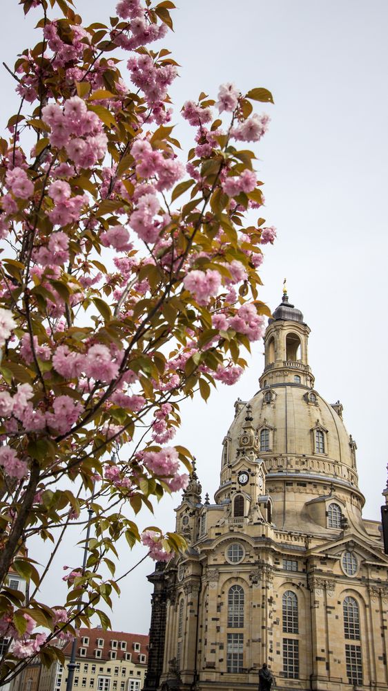 Frauenkirche