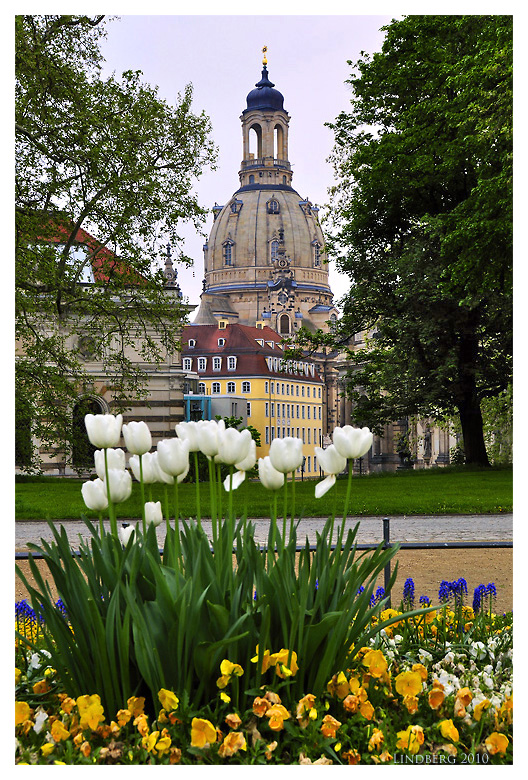 Frauenkirche Dresden 2