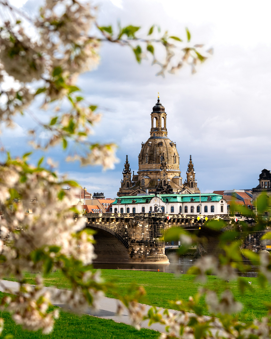 Frauenkirche Dresden im Frühling