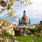 Frauenkirche Dresden im Frühling