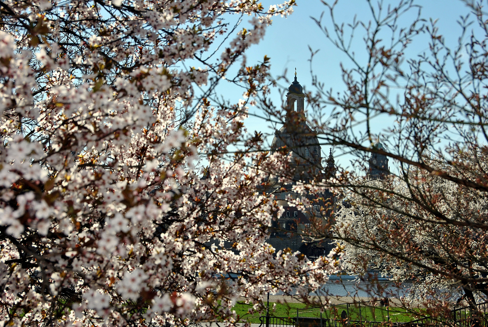 Frauenkirche im Frühlingskleid