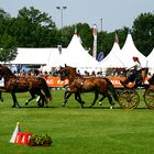 Frauenpower beim CHIO Aachen