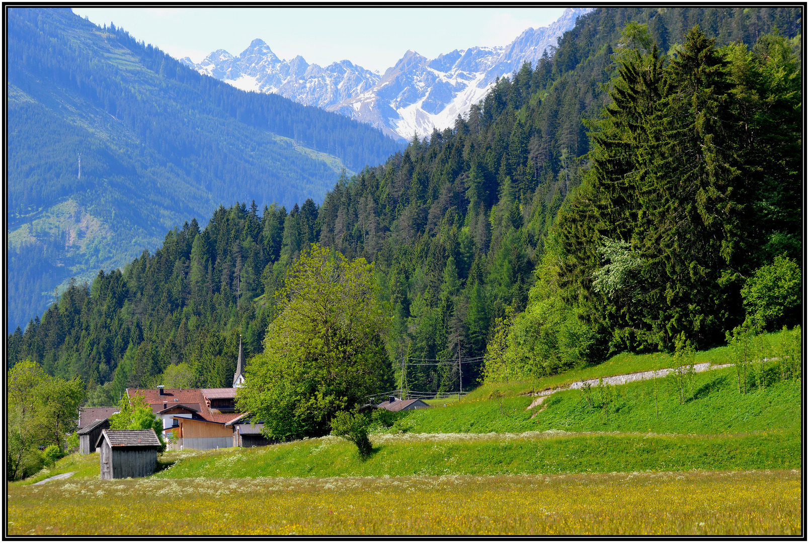 Frauenschuhgebiet Lechtal