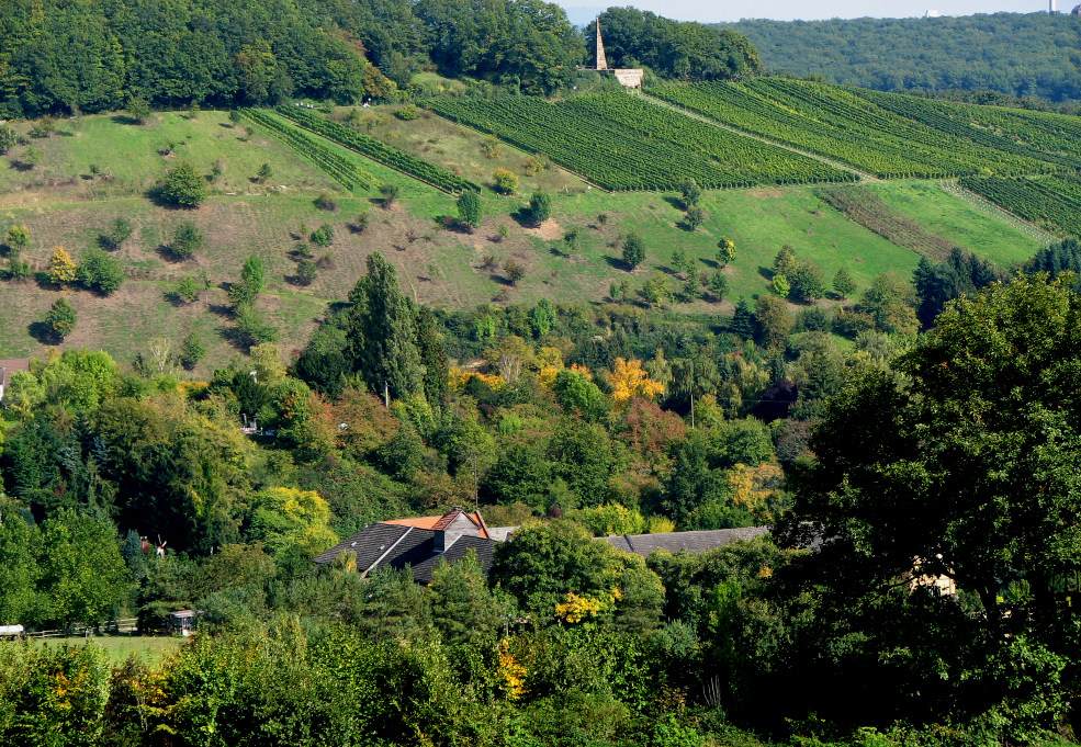 Frauenstein