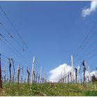 Frauenstein (Wiesbaden) Sonntagswetter :)