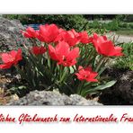 Frauentag 2012