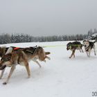 Frauenwald im Winter