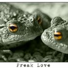 Freak Love