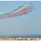 Frecce tricolori 4