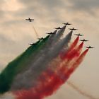 Frecce Tricolori @ Airpower05