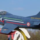 FRECCE TRICOLORI FIAT G91  !