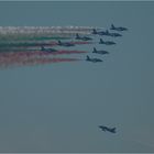 " Frecce Tricolori " II