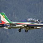 Frecce Tricolori Nr.8 