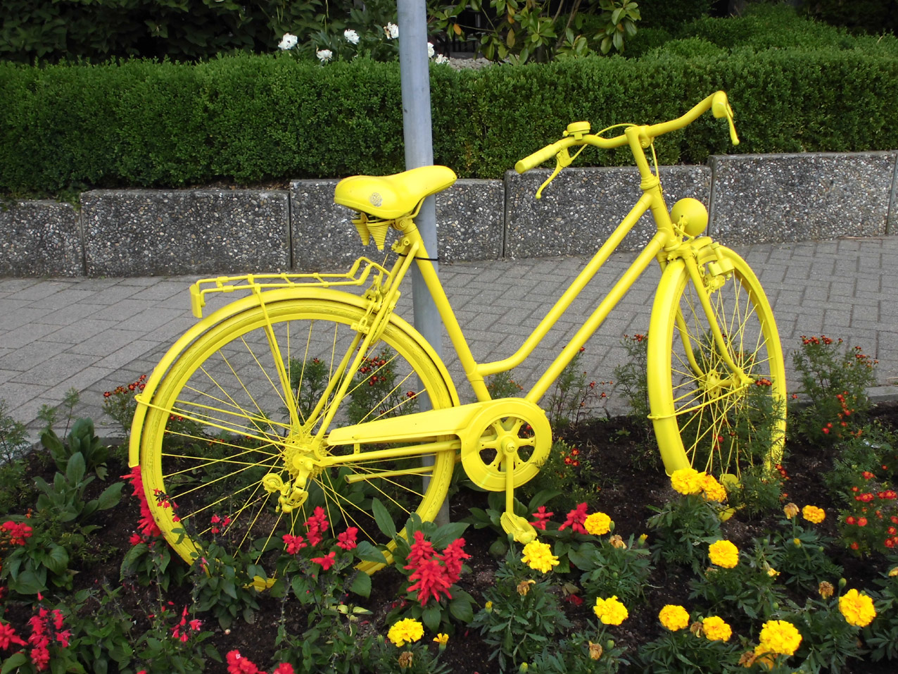 Fred Welkes gelbes Fahrrad