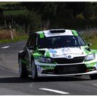 Freddy Loix auf Skoda Fabia R 5