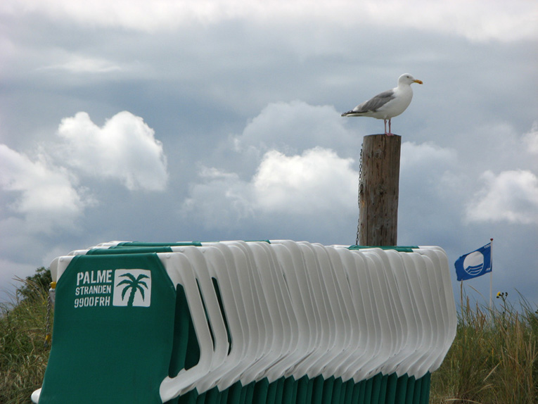 Frederikshavn am Palmenstrand