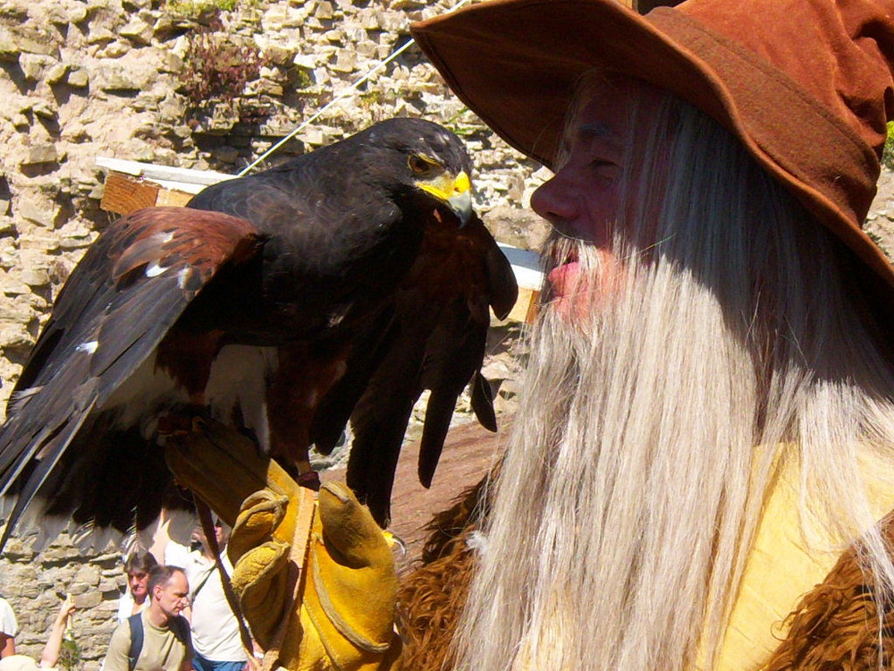 Fredini le magicien et son fidèle rapace ...