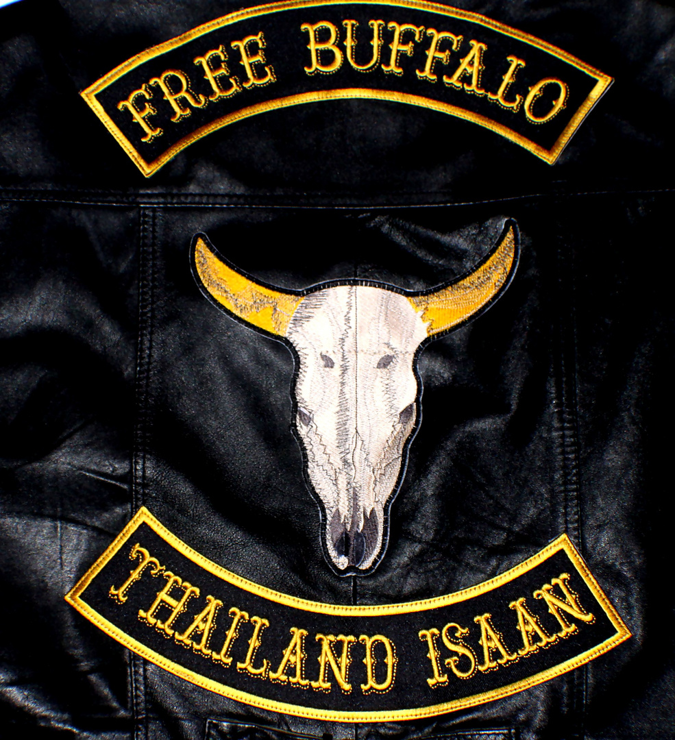 Free Buffalo