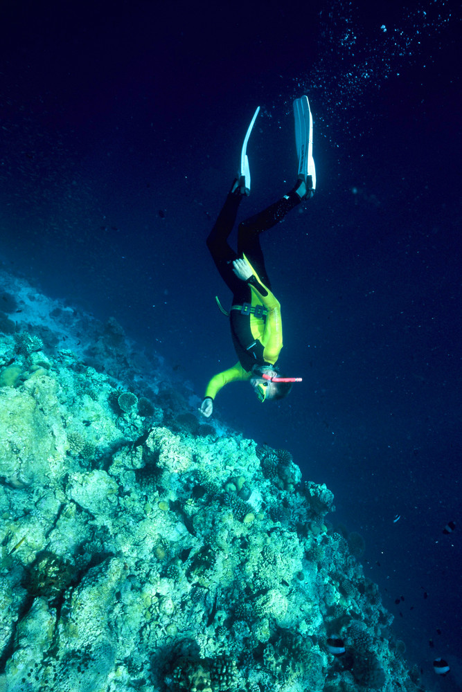 free diving