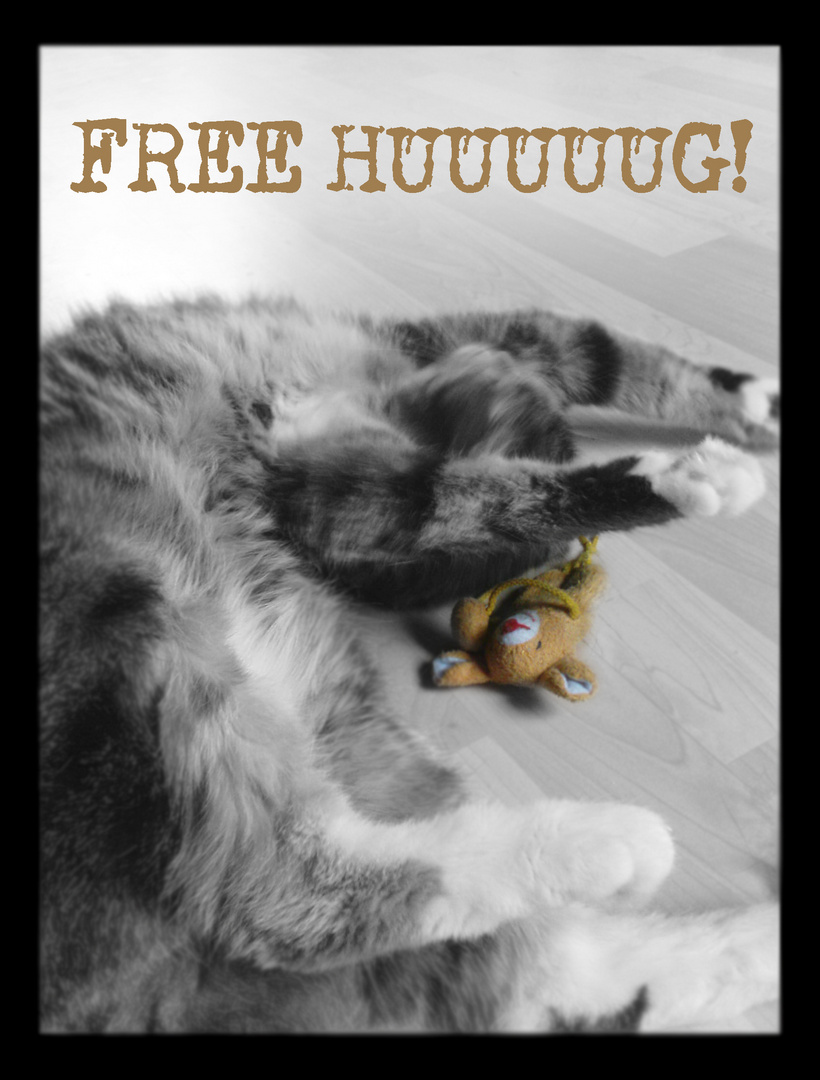 free hug