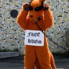 Free Hugs?!?!