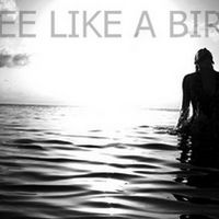 FREE like a BIRD