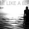 FREE like a BIRD