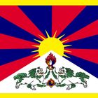 FREE TIBET- Flagge zeigen