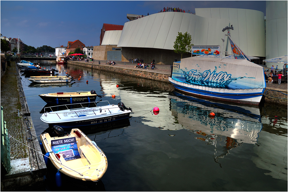 Free Willy, Hafen Stralsund