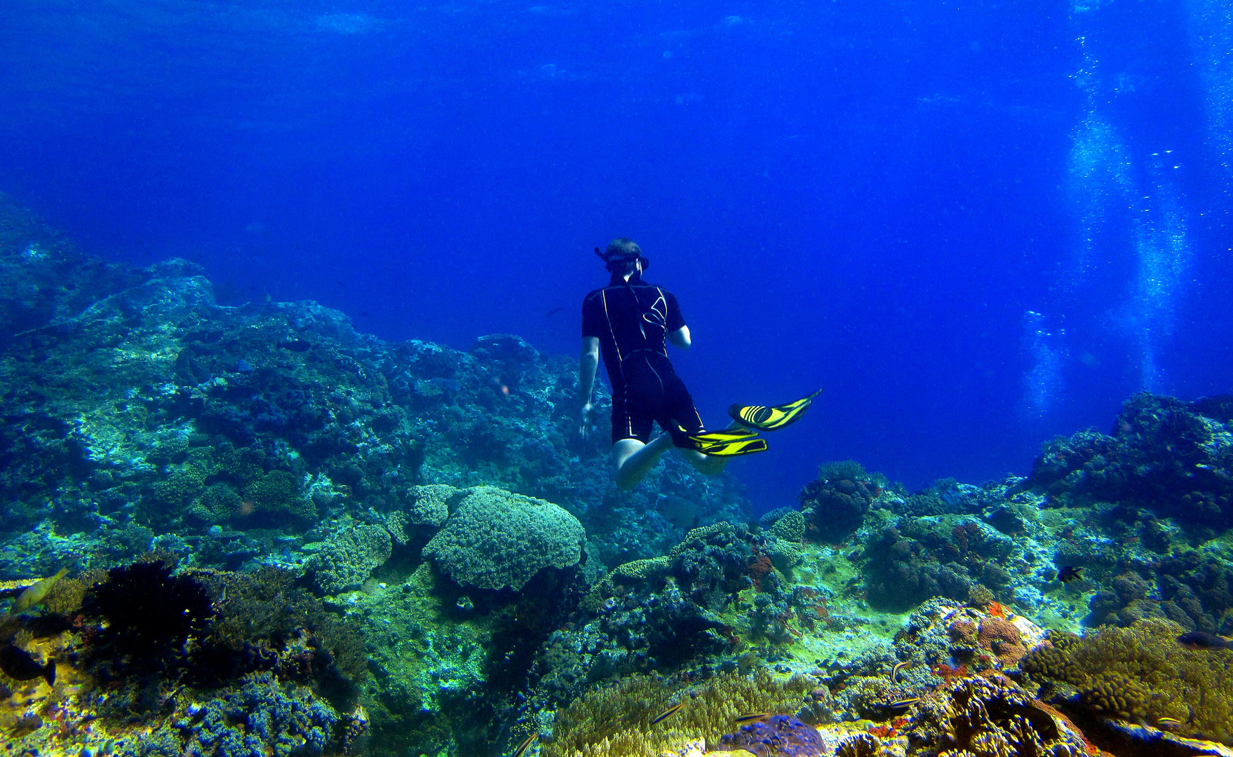 freediving crystal rock