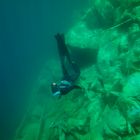 Freediving in alpine lake