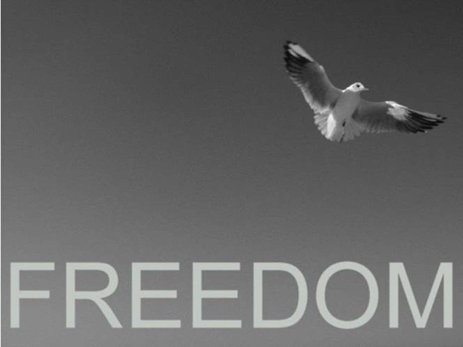 Freedom.