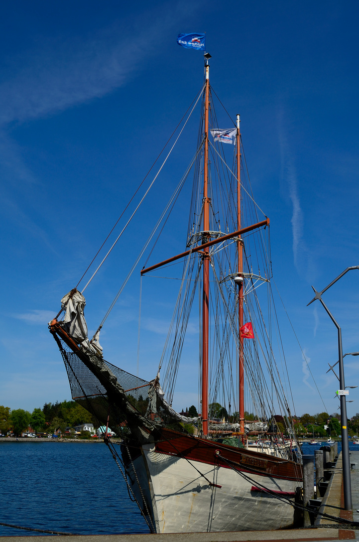 Freedom im Hafen Eckernförde