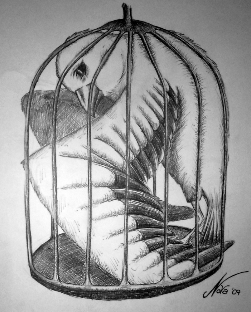 Freedom in a Cage