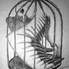 Freedom in a Cage