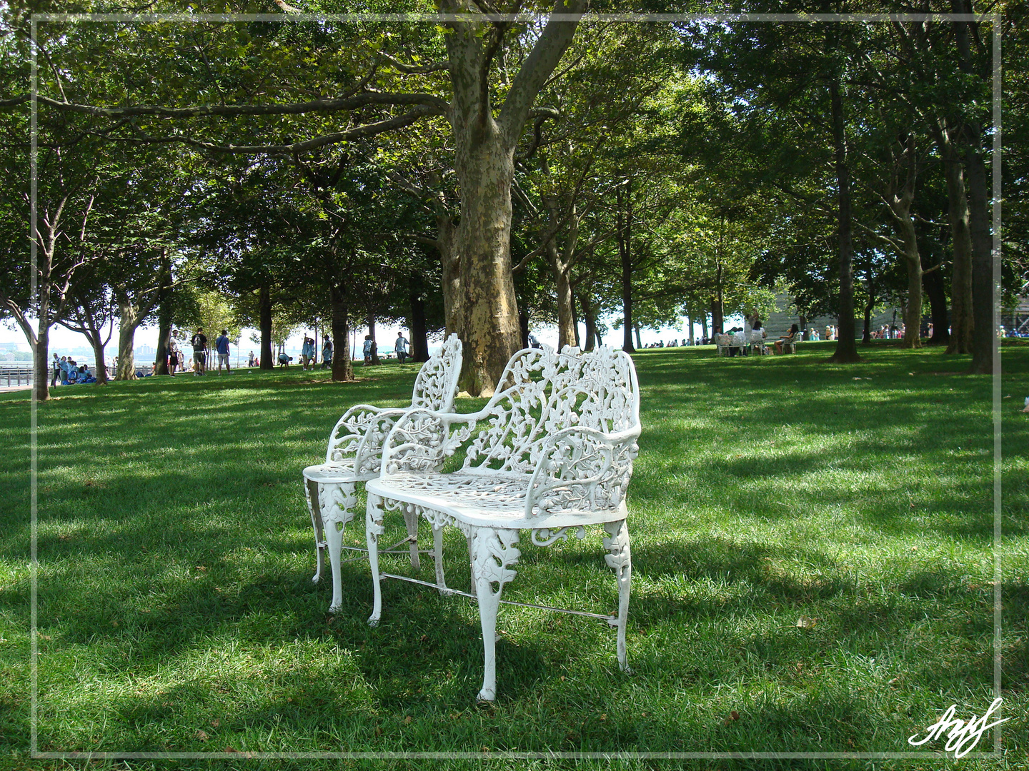 freedom island bench