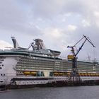 Freedom of the Seas