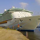 Freedom Of The Seas in Hamburg am Cruise Center