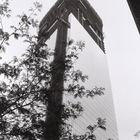 Freedom Tower Tree