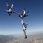 Freefly Team