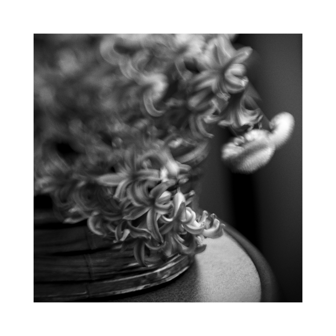 Freelensing - Frühlingseintopf