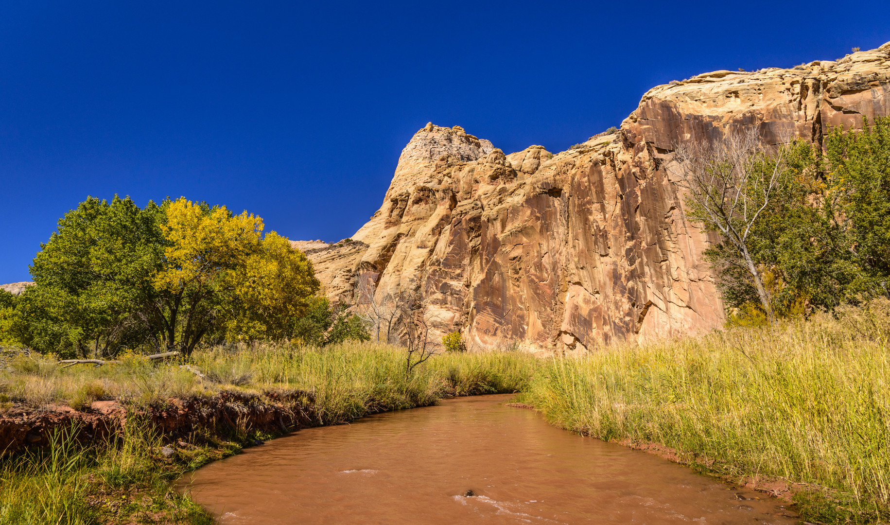 Freemont River, Capitol Reef NP, Utah, USA