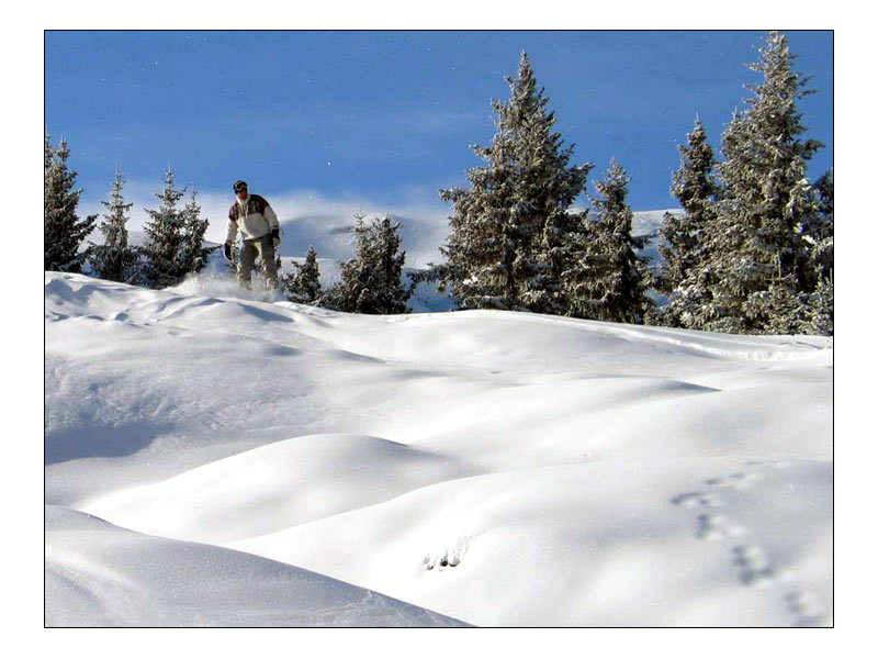 Freeride im Powder