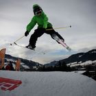 Freestyle-Skispringen