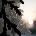 Freezed sunset